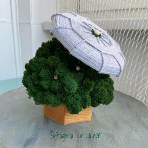 img_6252