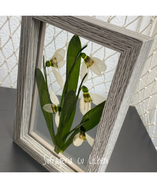 fullsizerender-10
