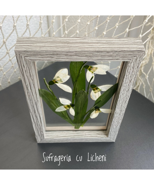 fullsizerender-11